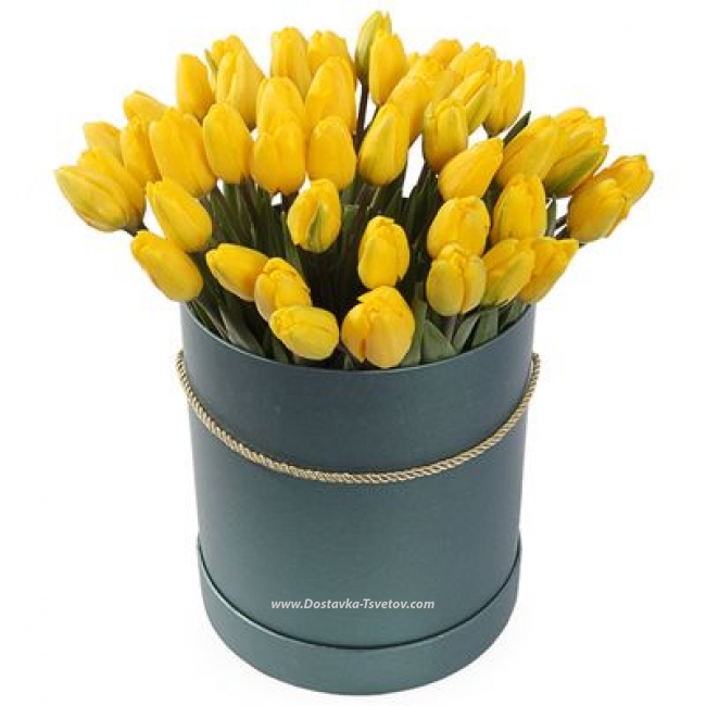 Тюльпаны Желтые тюльпаны "Солнышко В Коробке"