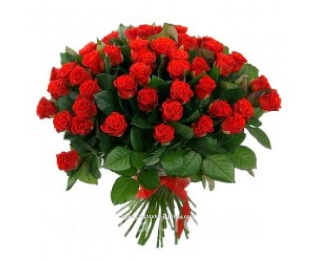 Розы Букет из 51 красной розы "Лоли"