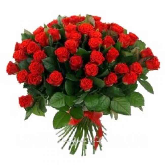 Цветы Букет из 51 красной розы "Лоли"