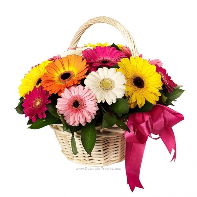 Цветы Разноцветные герберы в корзине "Подарочек"