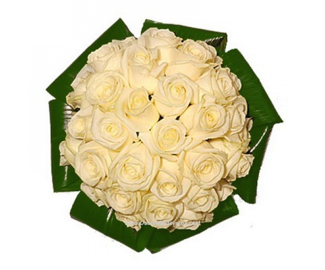 Розы Белые розы "Снежинка"