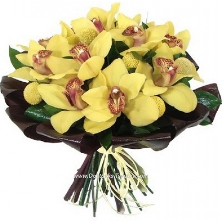 Жёлтые орхидеи "Лотос"