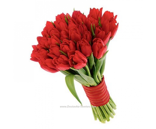 Цветы Красные тюльпаны "Аморэ"