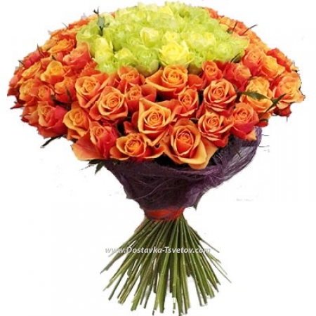 Roses 101 роза "Маркиза" Roses 101 роза "Маркиза"