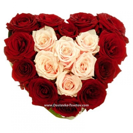 25 roses Розы в сердце "Обожаю" 25 roses Розы в сердце "Обожаю"