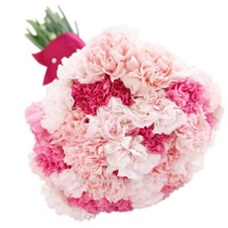 Carnation Нежный букет гвоздик "Марсель" Carnation Нежный букет гвоздик "Марсель"