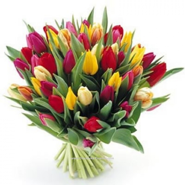 Тюльпаны Букет разноцветных тюльпанов "Дэнс"