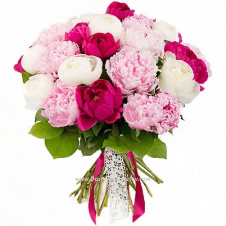 Peonies Разноцветные пионы "Клубничка" Peonies Разноцветные пионы "Клубничка"