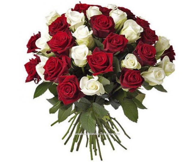 Роза Микс Красно-белые розы "Сантьяго"
