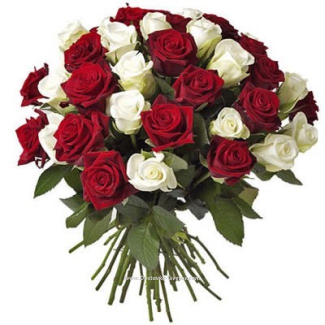 Роза Микс Букет красных и белых роз "Сантьяго"
