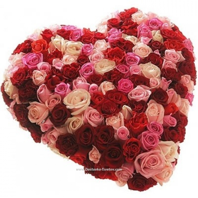 Розы Разноцветное сердце из роз "Изабелла"