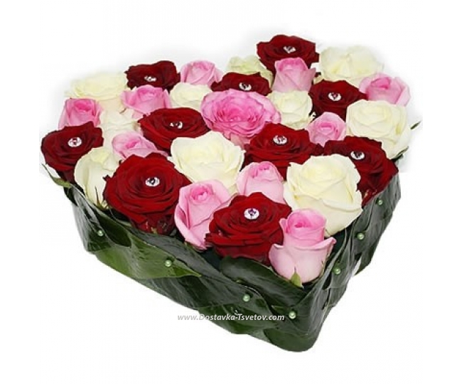 Розовые Розы Цветное сердце "Принцесса Зоу"