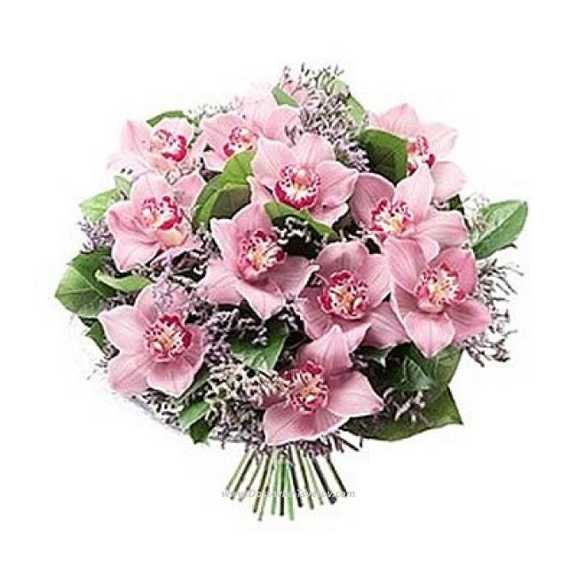 Цветы Розовые орхидеи "Баллада Любви"