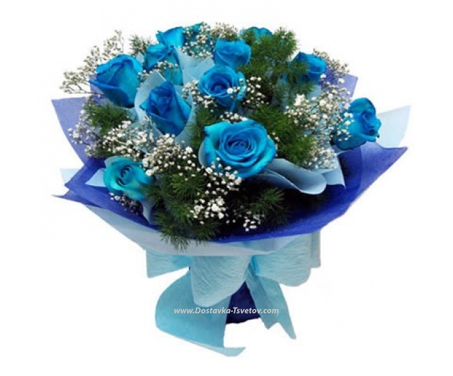 Синие Розы Синие розы "Орландо"