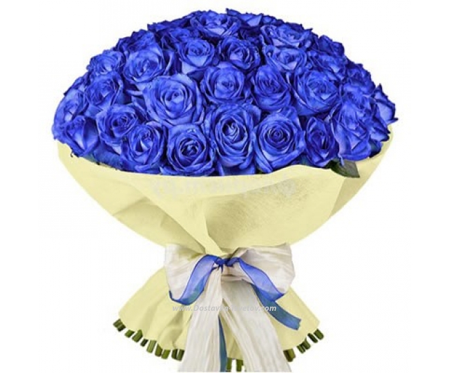 Розы 51 синяя роза "Лаванда"