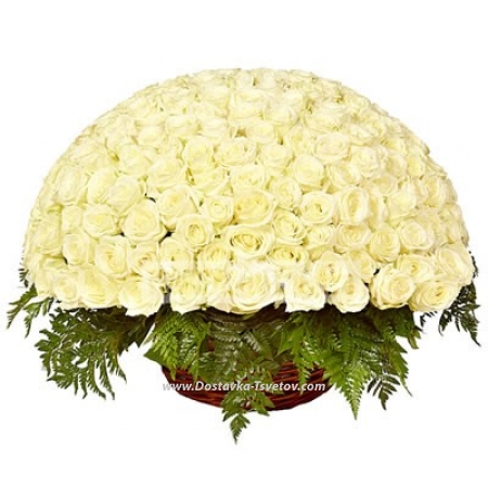 Roses Розы "Лазурный Берег" Roses Розы "Лазурный Берег"