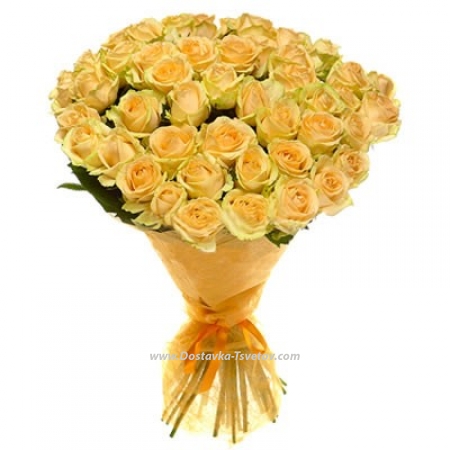 Roses Кремовые розы "Золотое утро" Roses Кремовые розы "Золотое утро"