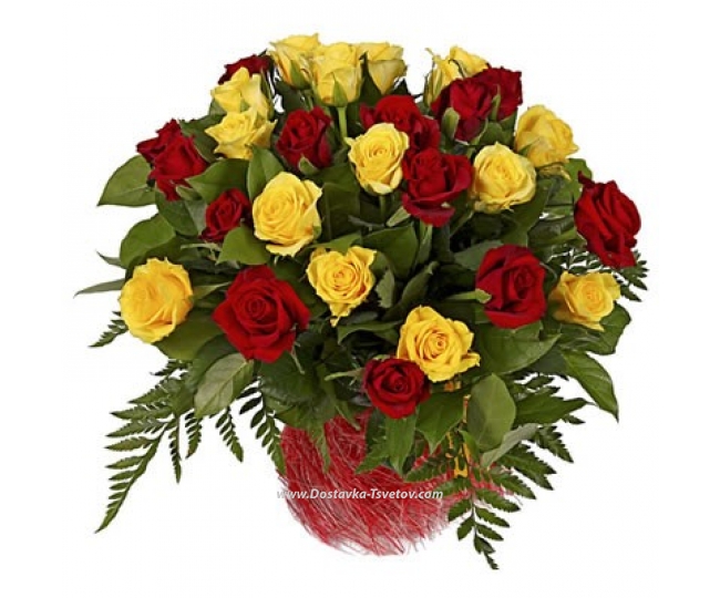 Розы Красно-жёлтые розы "Лирика"