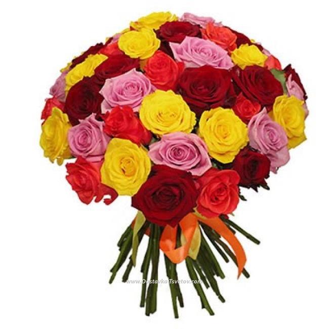 51 Роза Букет из 51 разноцветной розы "Самбо"