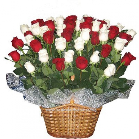 Roses Красно-белые розы "Верона" Roses Красно-белые розы "Верона"