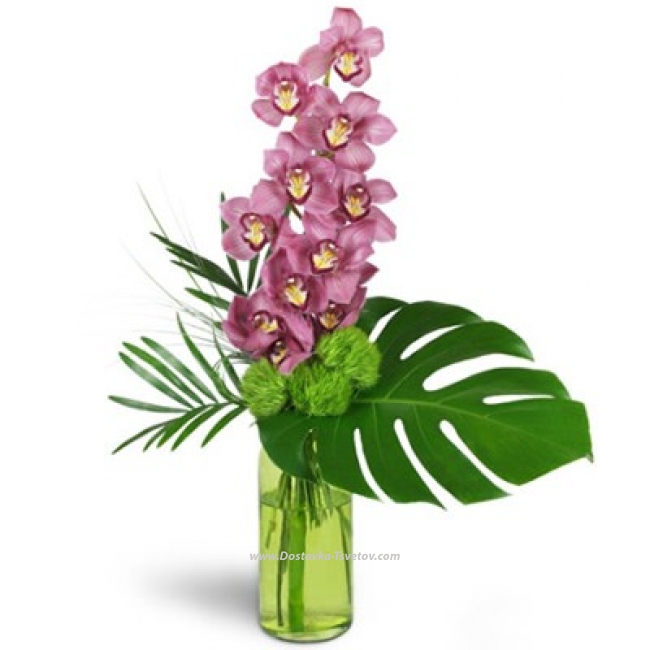 Цветы в вазе Ветка орхидеи "Вечный Рим"