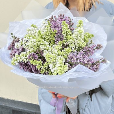 #1 Букет из голландской сирени