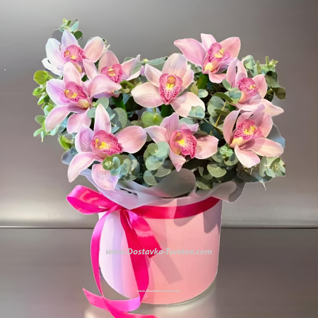 Розовая орхидея "Аура"