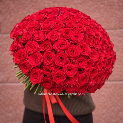 Красные розы "101 Поцелуй"