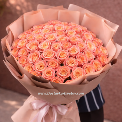 51 розовая роза "Анна Карина"