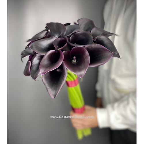 Цветы калла купить в москве доставка подарков спб анонимно