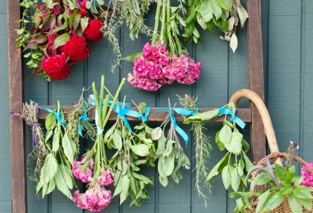 Почему цветы важны для природы и человечества | Ajania flower Shop Лечебные свойства