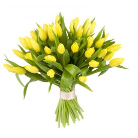 купить желтые тюльпаны в Москве