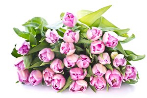 Купить букет пионов