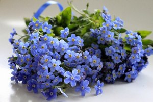 Синие цветы заказать в интернет магазине
